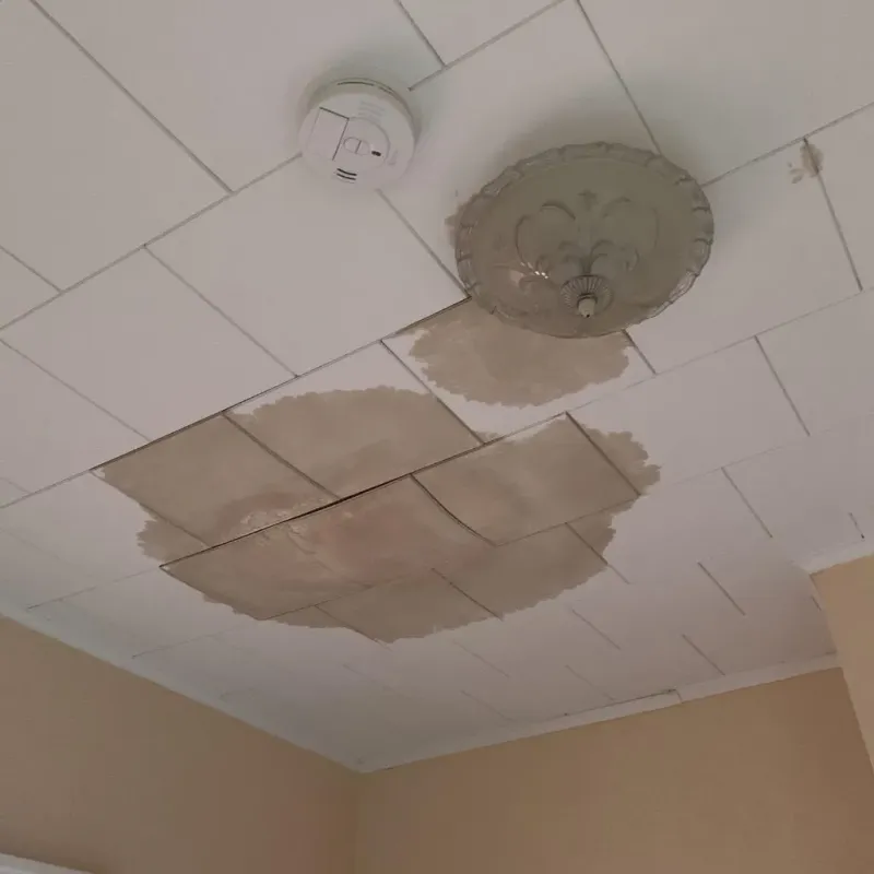 Ceiling Water Damage Repair in Princeton, WV