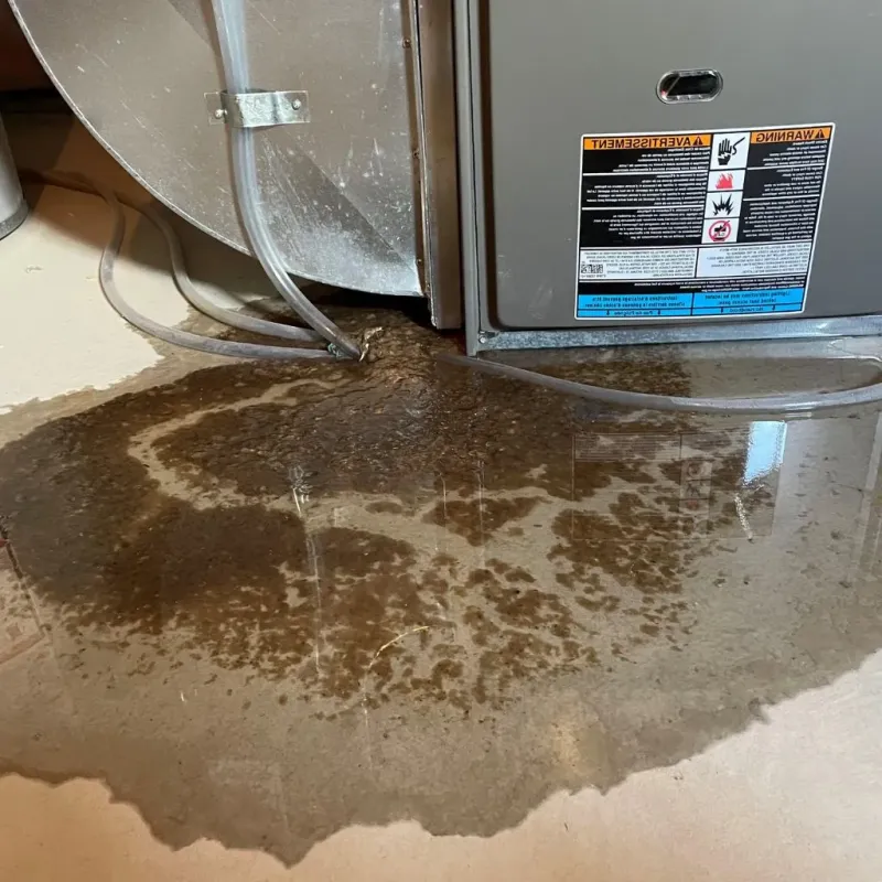 Pipe Burst and Leak Restoration in Princeton, WV