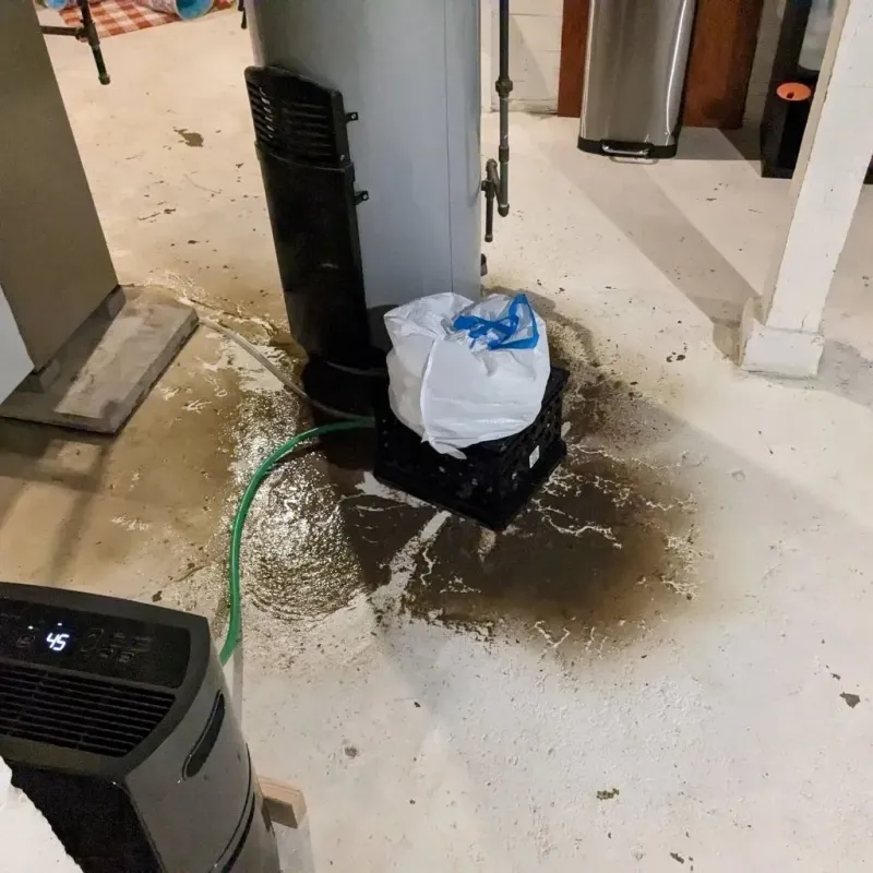 Sewage Backup Cleanup Service in Princeton, WV